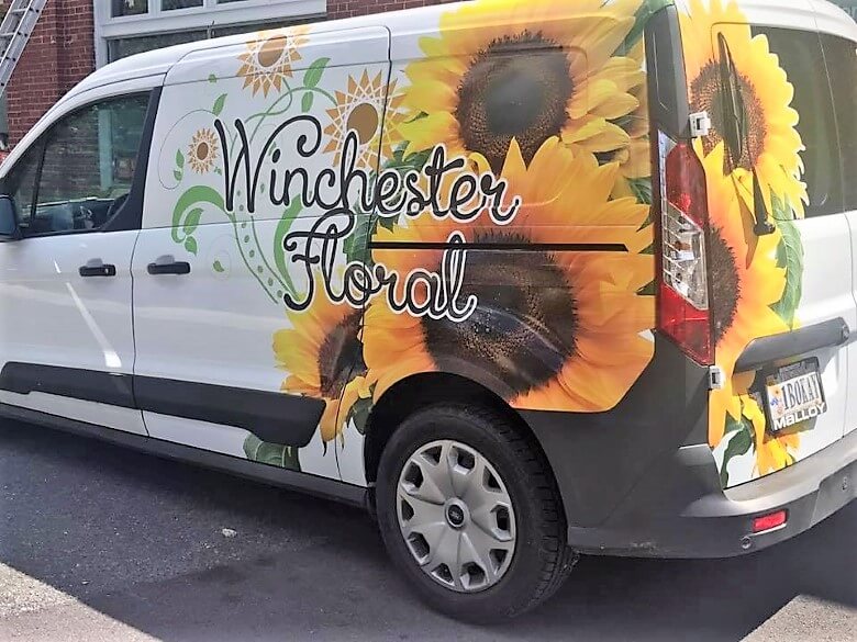 Van Graphics and Wraps